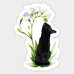 The sniffing cat Sticker